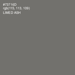 #73716D - Limed Ash Color Image